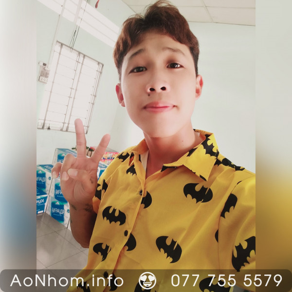 Áo Sơ Mi Hoạt Hình - Batman Vàng, Batman Đen