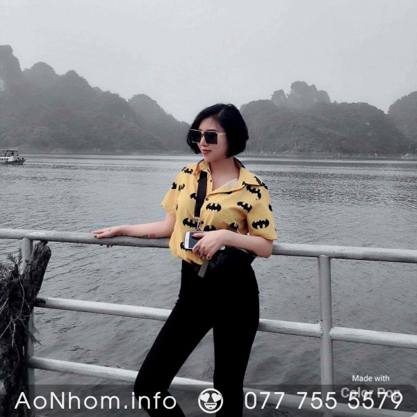 Áo Sơ Mi Hoạt Hình - Batman Vàng, Batman Đen
