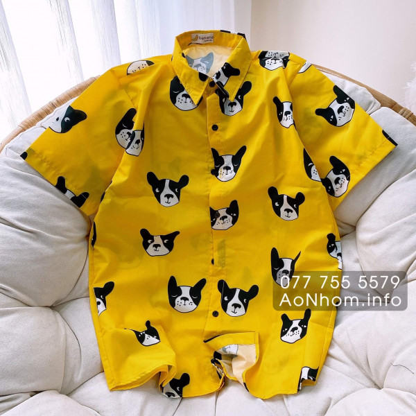 Áo sơ mi hoạt hình - Chó Pull Pháp