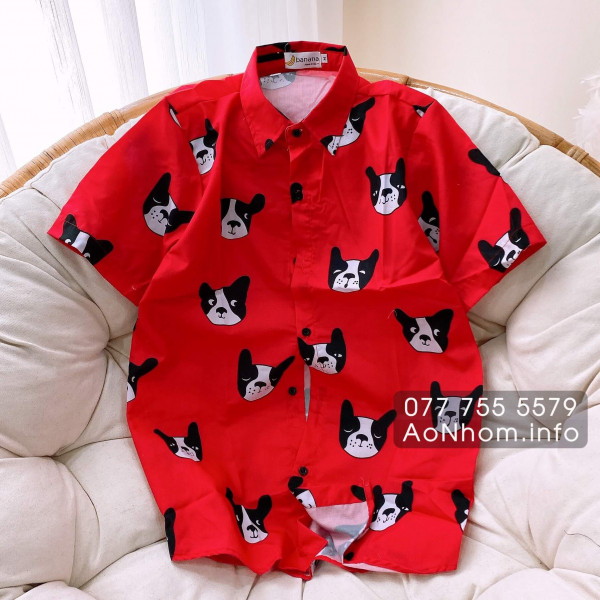 Áo sơ mi hoạt hình - Chó Pull Pháp