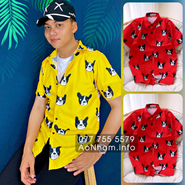 Áo sơ mi hoạt hình - Chó Pull Pháp